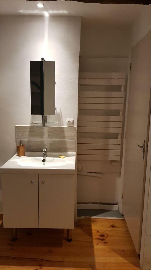 Appartement Avec Cour ★ Spacieux ★ Hyper Centre Castres  Exterior foto
