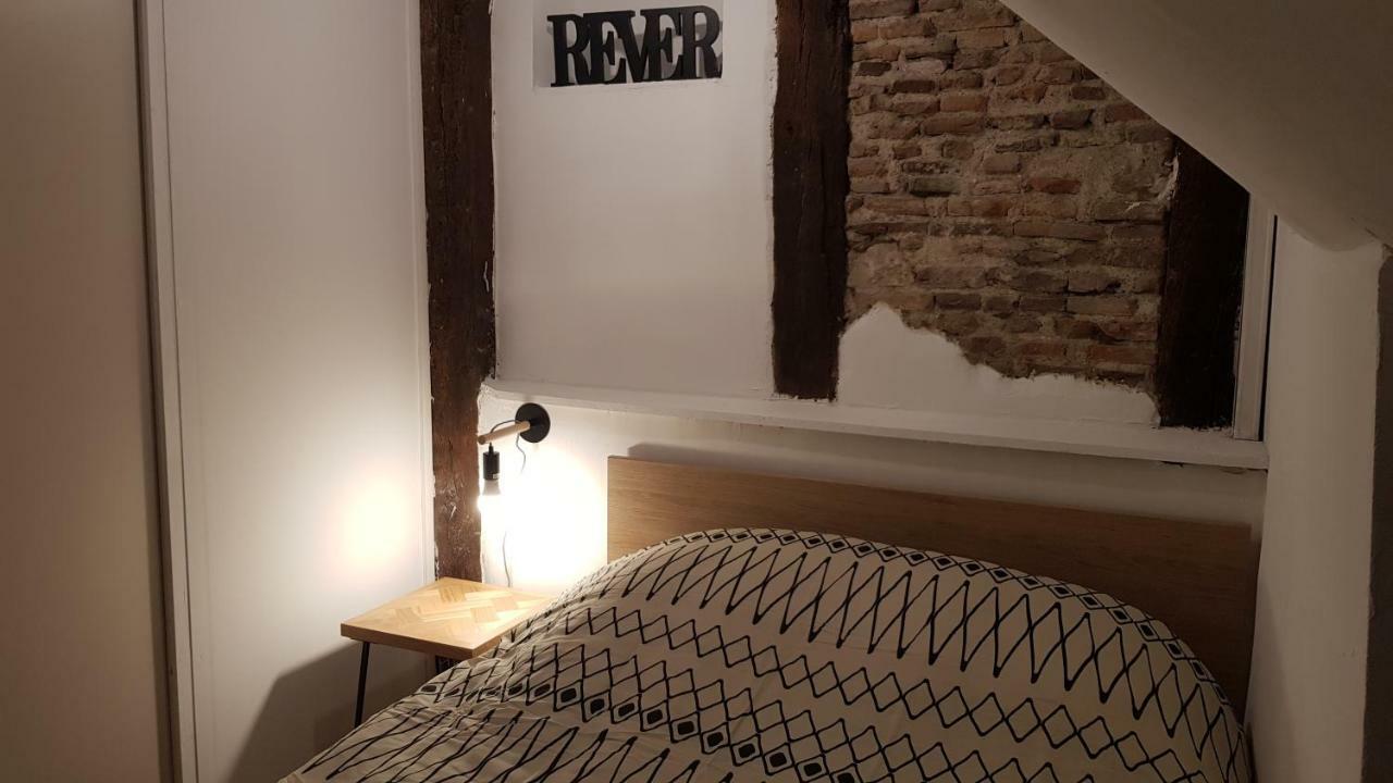 Appartement Avec Cour ★ Spacieux ★ Hyper Centre Castres  Exterior foto